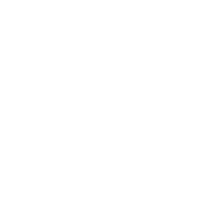 nachtraven-carlson-rezidor