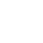 nachtraven-sony