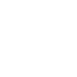 nachtraven-tribeca